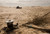 Stampa su tela Poster Archivio Pan per cammelli con vista sul deserto Paesaggio Orizzontale