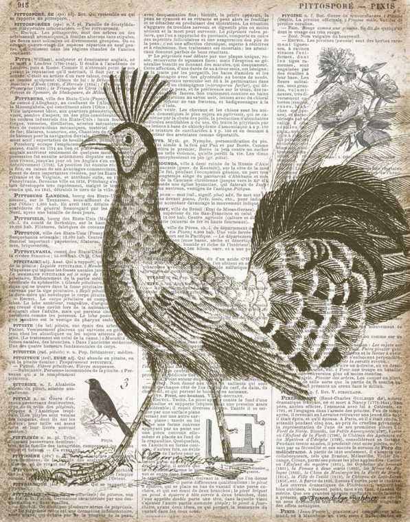 Babbitt Gwendolyn Vintage Uccello II Animali cm64X50 Immagine su CARTA TELA PANNELLO CORNICE Verticale