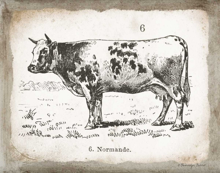 Babbitt Gwendolyn Francese Cow IV Animali cm70X91 Immagine su CARTA TELA PANNELLO CORNICE Orizzontale