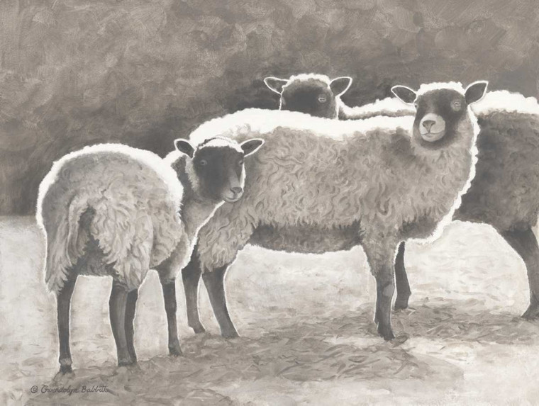 Babbitt Gwendolyn Tre Heirloom Sheep Animali cm76X100 Immagine su CARTA TELA PANNELLO CORNICE Orizzontale