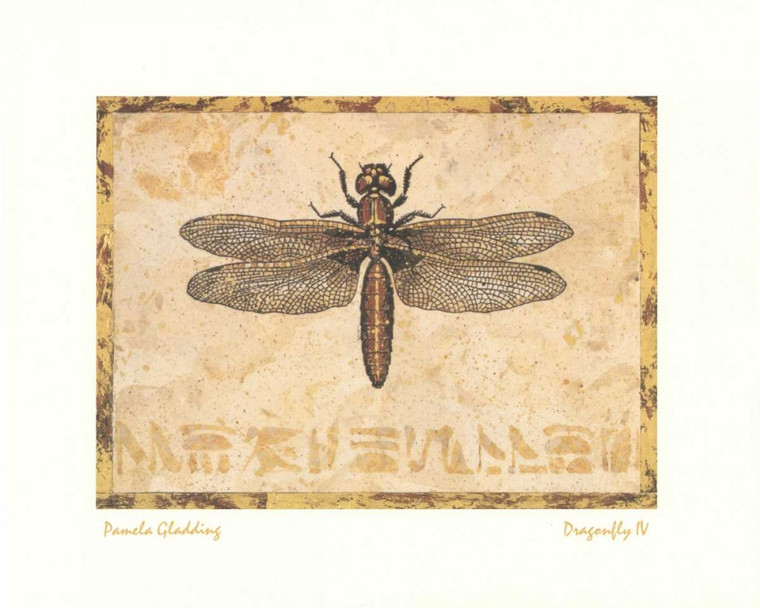 Gladding Pamela Dragonfly IV Natura morta cm76X96 Immagine su CARTA TELA PANNELLO CORNICE Orizzontale
