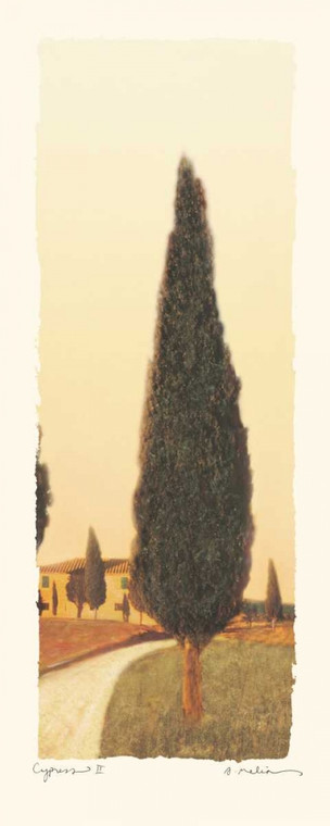 Melious Amy Cypress II Paesaggio cm182X73 Immagine su CARTA TELA PANNELLO CORNICE Verticale