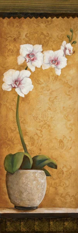 Osborne Susan di Hanna Orchidee I Floreale cm192X64 Immagine su CARTA TELA PANNELLO CORNICE Verticale
