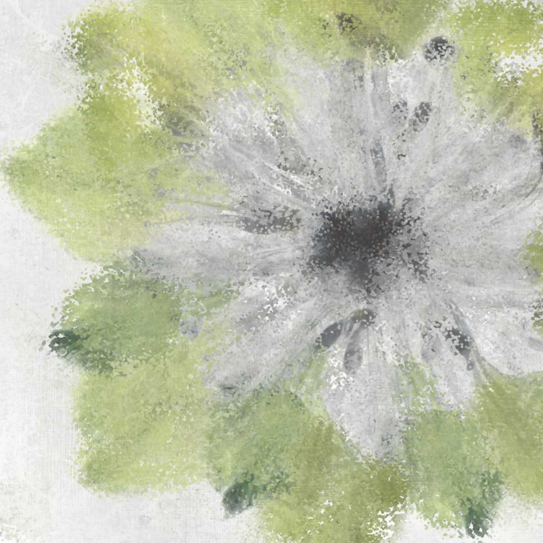 Allen Kimberly Morbido Blooming Giallo Floreale cm73X73 Immagine su CARTA TELA PANNELLO CORNICE Quadrata