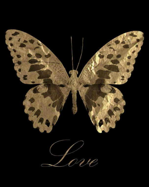 Greene Taylor L'amore della farfalla dell'oro Animali cm45X36 Immagine su CARTA TELA PANNELLO CORNICE Verticale
