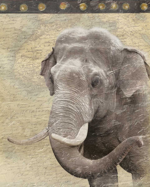 Grey Jace Elefante Animali cm98X78 Immagine su CARTA TELA PANNELLO CORNICE Verticale