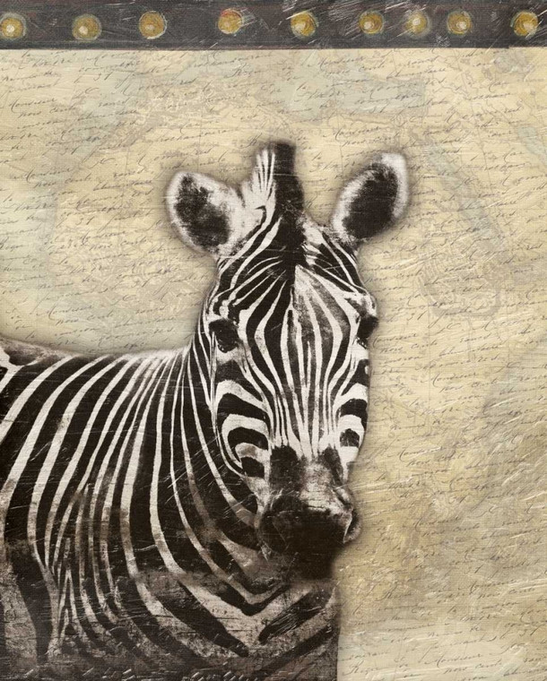 Grey Jace Zebra Africa 2 Animali cm98X78 Immagine su CARTA TELA PANNELLO CORNICE Verticale