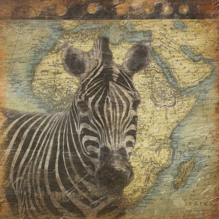 Grey Jace Zebra di viaggio Animali cm78X78 Immagine su CARTA TELA PANNELLO CORNICE Quadrata