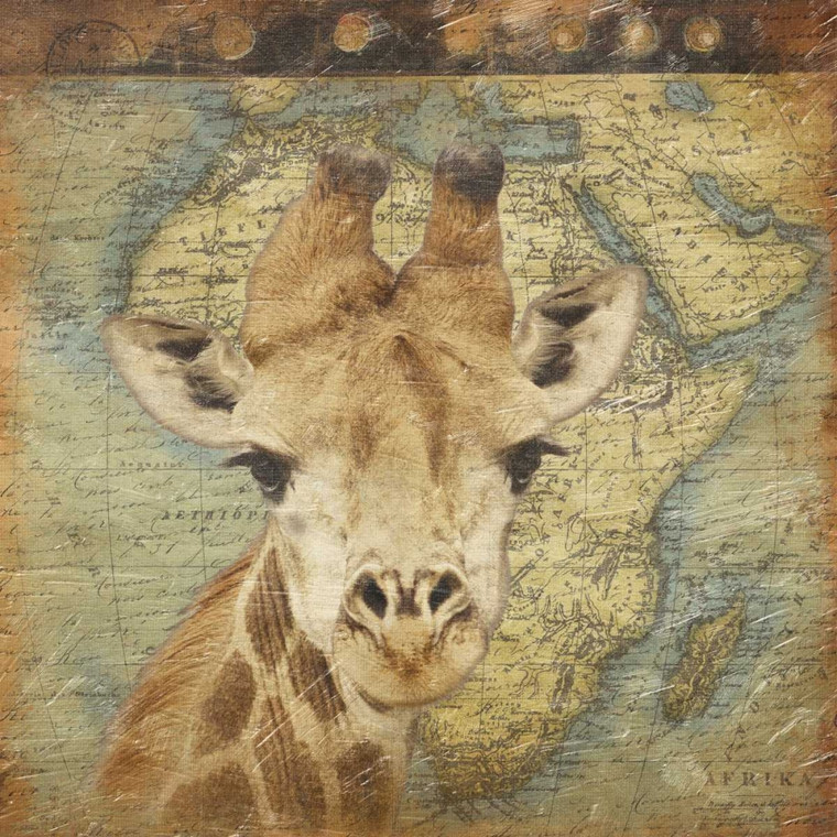 Grey Jace Giraffe Viaggi Animali cm78X78 Immagine su CARTA TELA PANNELLO CORNICE Quadrata