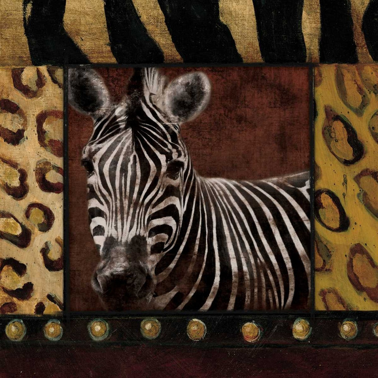 Grey Jace Zebra delimitato Animali cm73X73 Immagine su CARTA TELA PANNELLO CORNICE Quadrata