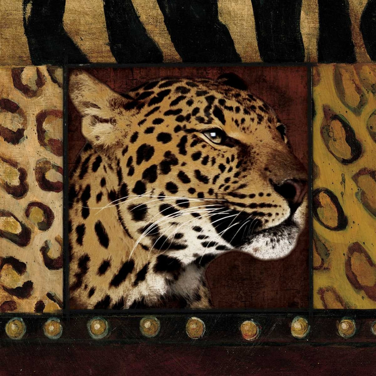 Grey Jace Leopard delimitato Animali cm73X73 Immagine su CARTA TELA PANNELLO CORNICE Quadrata