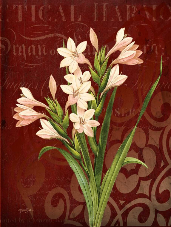 Stimson Diane Narcissus 2 Decorativo cm73X54 Immagine su CARTA TELA PANNELLO CORNICE Verticale