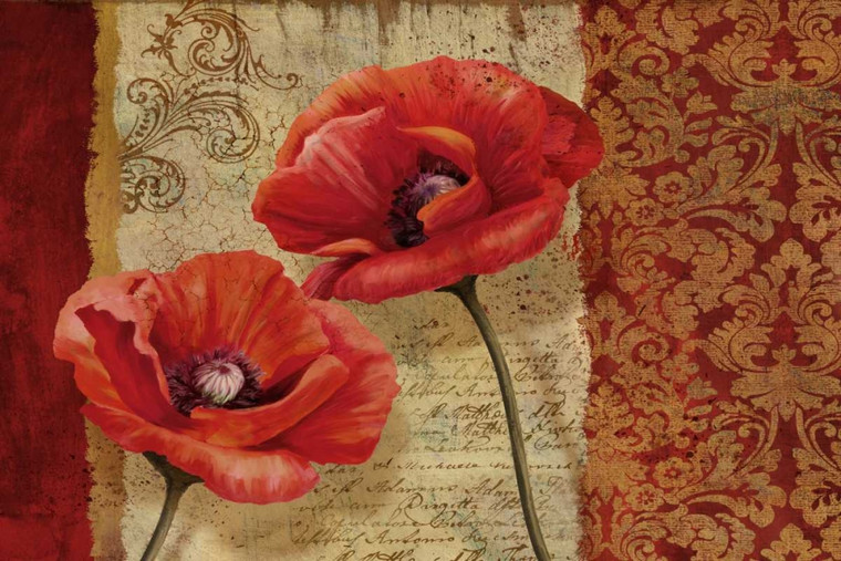 Knutsen Conrad Poppy Flourish Floreale cm78X118 Immagine su CARTA TELA PANNELLO CORNICE Orizzontale