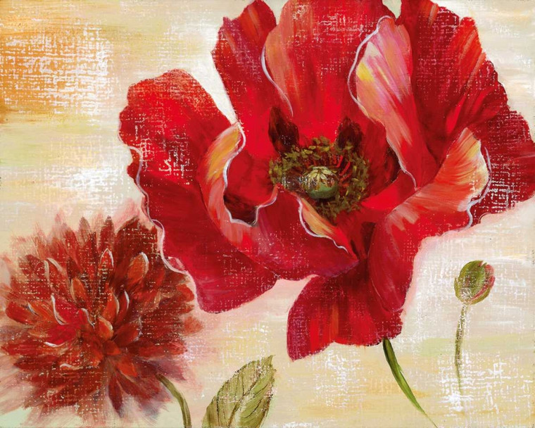 Nan Passion For Poppies II Floreale cm73X91 Immagine su CARTA TELA PANNELLO CORNICE Orizzontale