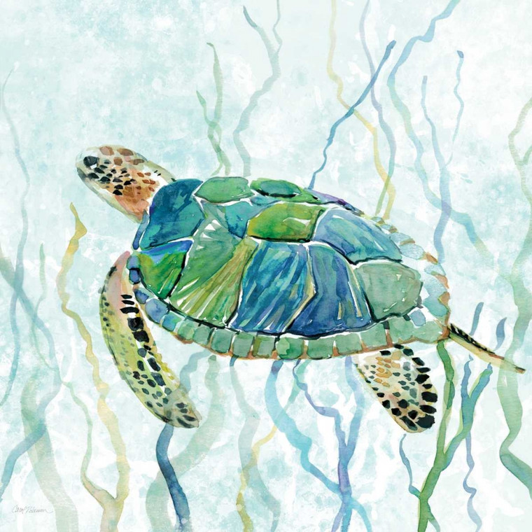 Robinson Carol Sea Turtle Swim II Animali cm73X73 Immagine su CARTA TELA PANNELLO CORNICE Quadrata