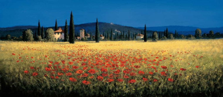 Short David Tuscan Panorama   Poppies europeo cm70X164 Immagine su CARTA TELA PANNELLO CORNICE Orizzontale