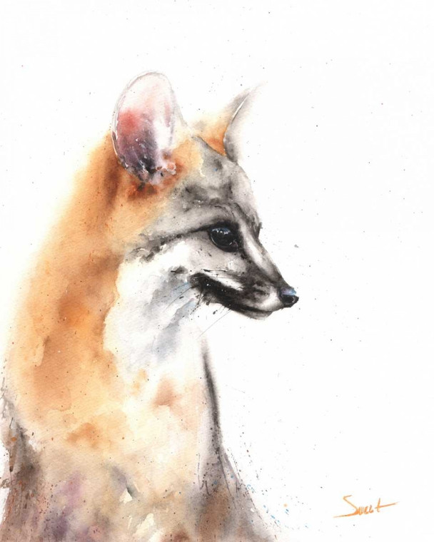 Sweet Eric gray Fox Animali cm95X74 Immagine su CARTA TELA PANNELLO CORNICE Verticale