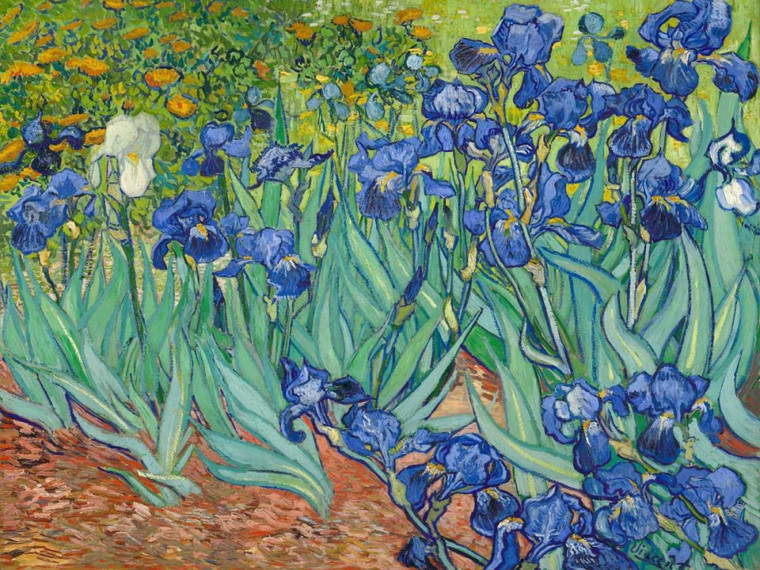 Van Gogh Vincent iris 1889 Floreale cm68X91 Immagine su CARTA TELA PANNELLO CORNICE Orizzontale