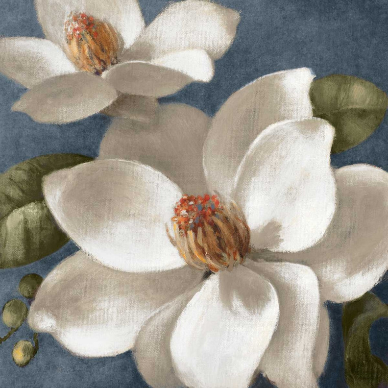 Loreth Lanie Magnolias on Blue I Floreale cm73X73 Immagine su CARTA TELA PANNELLO CORNICE Quadrata