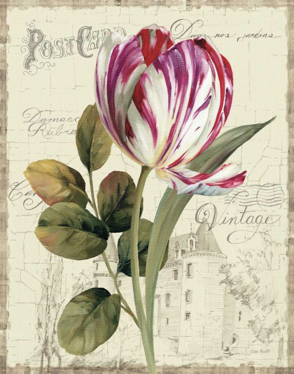 Audit Lisa Garden View II   Tulip Floreale cm102X80 Immagine su CARTA TELA PANNELLO CORNICE Verticale