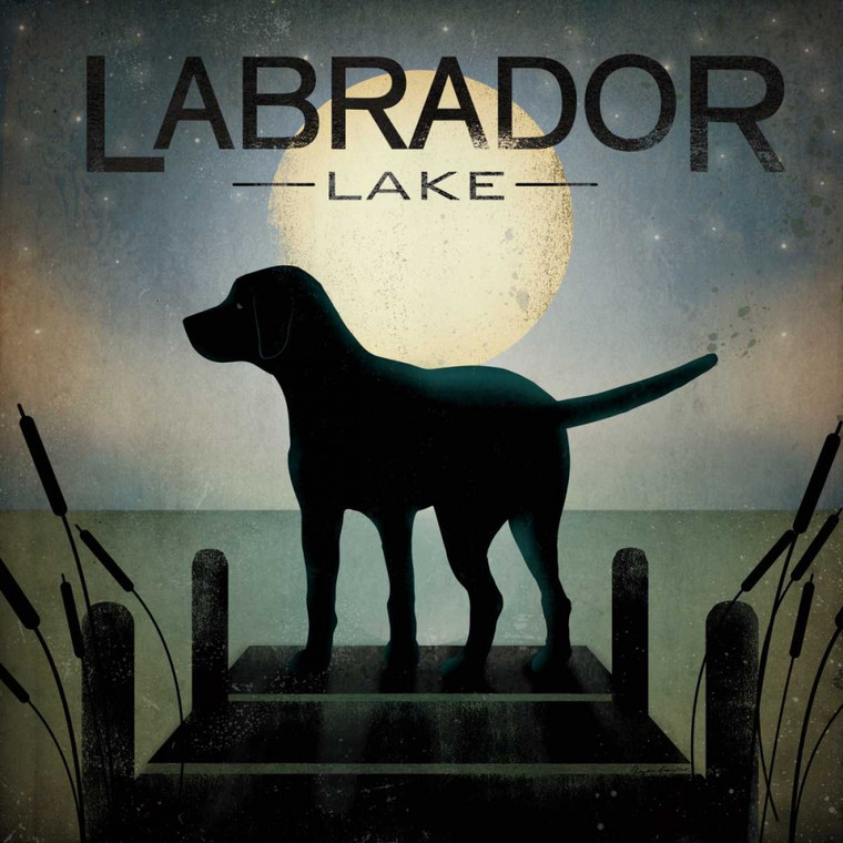 Fowler Ryan Moonrise Black Dog   Labrador Lago Animali cm82X82 Immagine su CARTA TELA PANNELLO CORNICE Quadrata