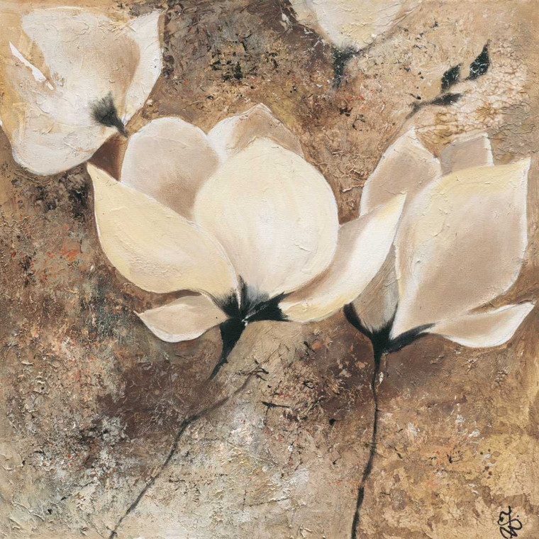 Volynets Yuliya magnolia 2 Floreale cm77X77 Immagine su CARTA TELA PANNELLO CORNICE Quadrata