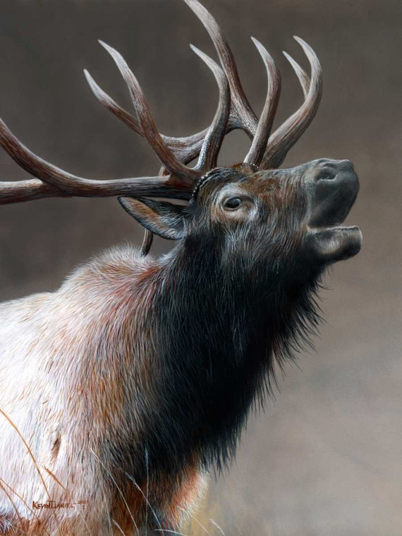 Daniel Kevin American Icon   Elk Animali cm109X82 Immagine su CARTA TELA PANNELLO CORNICE Verticale