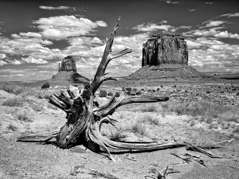 Drost David Bandw Desert View V fotografia cm82X109 Immagine su CARTA TELA PANNELLO CORNICE Orizzontale