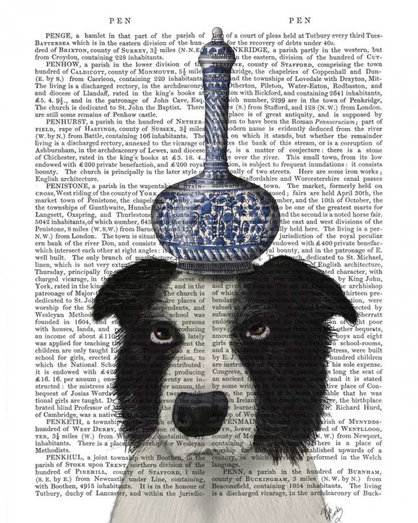 Fab Funky Border Collie con vaso blu capriccioso cm45X36 Immagine su CARTA TELA PANNELLO CORNICE Verticale