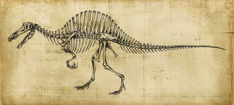 Harper Ethan Spinosaurus Studio Animali cm80X180 Immagine su CARTA TELA PANNELLO CORNICE Orizzontale