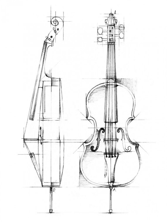 Harper Ethan Cello Sketch Tempo libero cm109X82 Immagine su CARTA TELA PANNELLO CORNICE Verticale