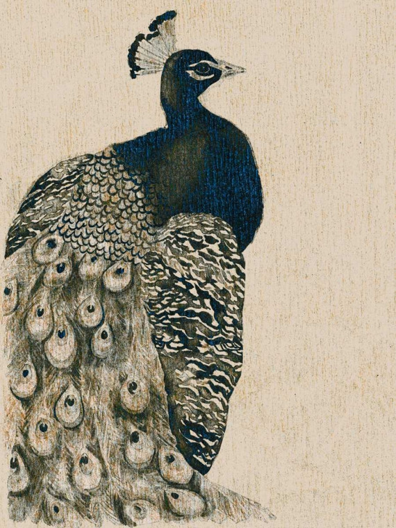 Popp Grace Tessuto Peacock I Animali & Natura cm109X82 Immagine su CARTA TELA PANNELLO CORNICE Verticale