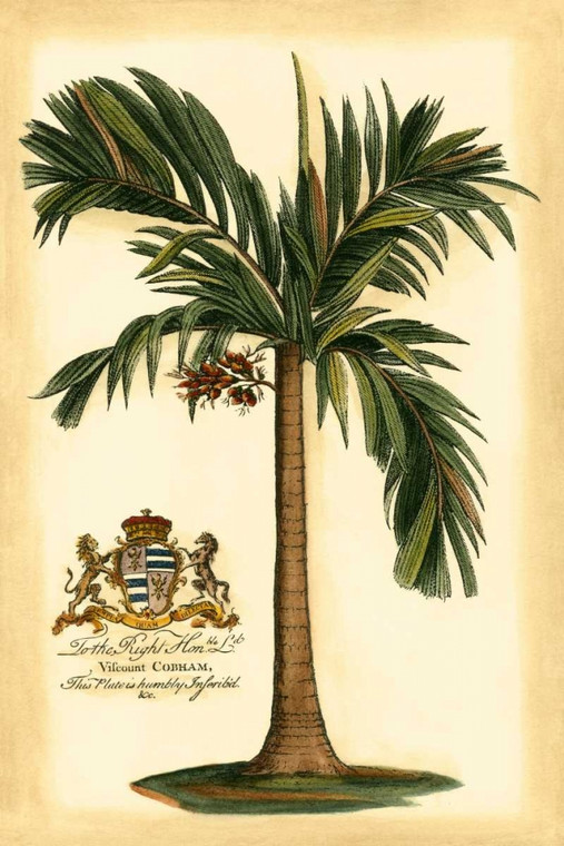 Vision Studio British Colonial Palm I Costiero cm82X54 Immagine su CARTA TELA PANNELLO CORNICE Verticale
