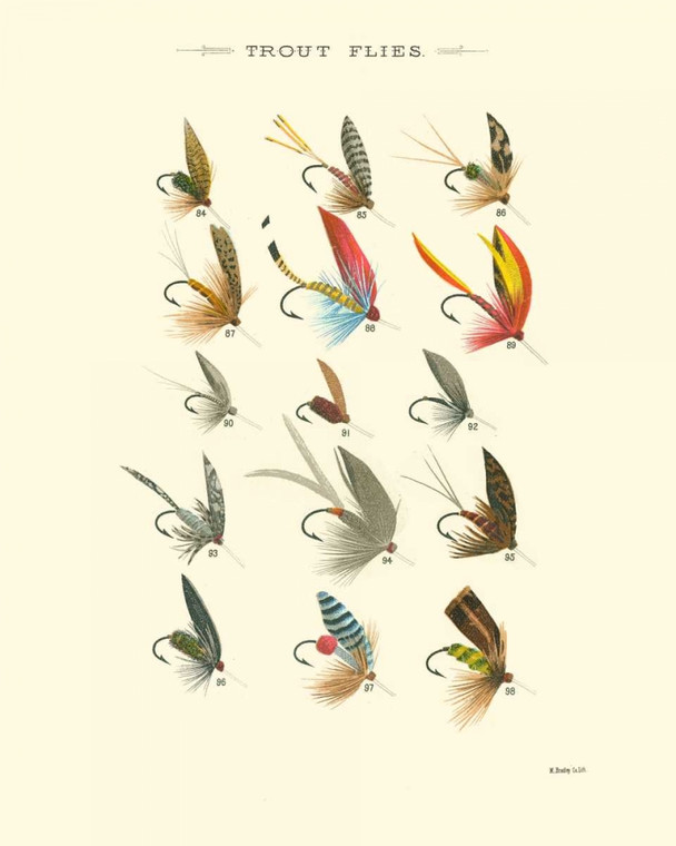 Vision Studio Trout Flies I Tempo libero cm45X36 Immagine su CARTA TELA PANNELLO CORNICE Verticale