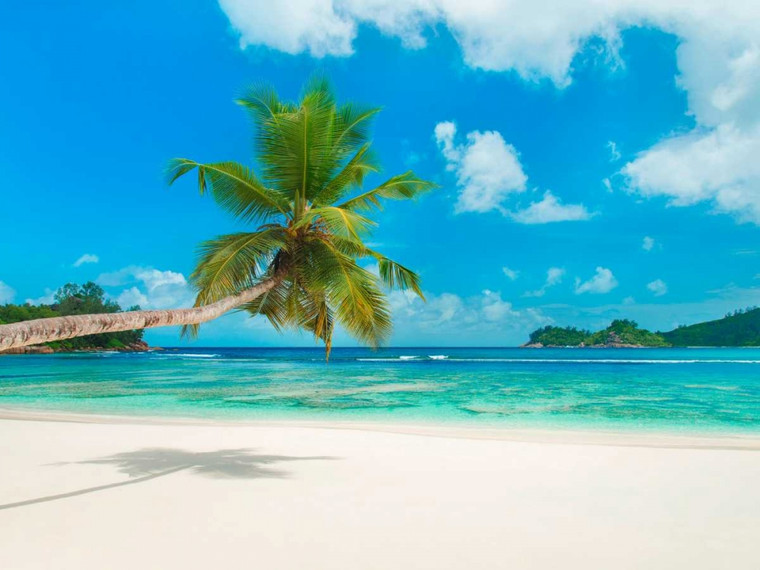 Anonymous spiaggia tropicale, Seychelles (particolare) Costiero cm84X111 Immagine su CARTA TELA PANNELLO CORNICE Orizzontale