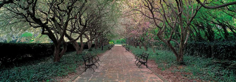 Berenholtz Richard Attraverso Conservatory Garden di Central Park di New York posti cm70X205 Immagine su CARTA TELA PANNELLO CORNICE Orizzontale