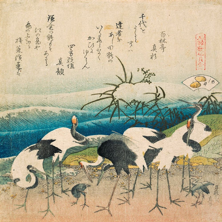 Hokusai Mandria di gru Animali cm87X87 Immagine su CARTA TELA PANNELLO CORNICE Quadrata