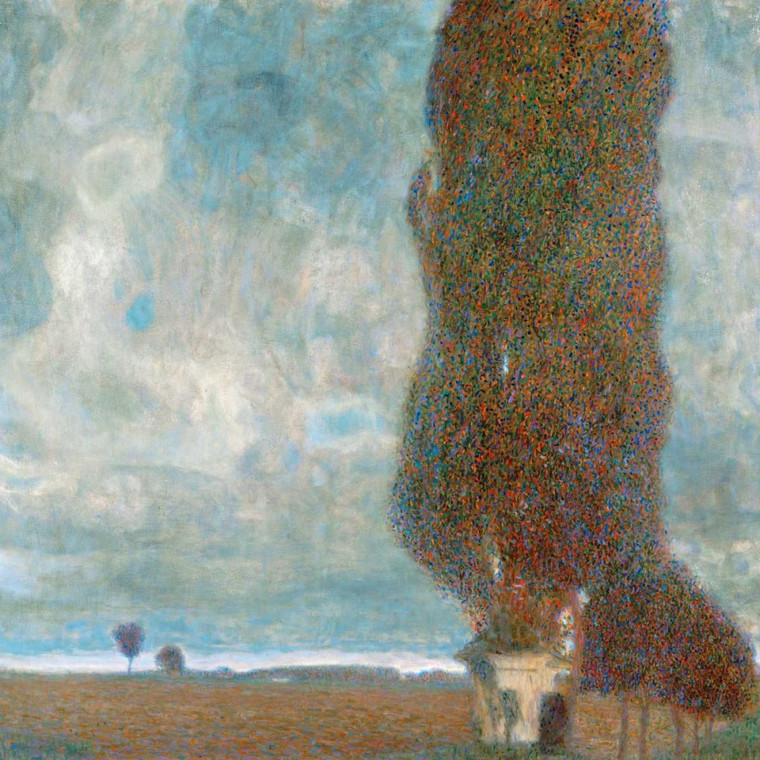 Klimt Gustav grandi Pioppi Paesaggio cm77X77 Immagine su CARTA TELA PANNELLO CORNICE Quadrata
