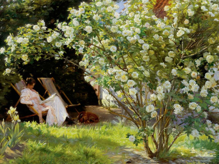 KrÙyer Peder Severin Seduto nel giardino delle rose Paesaggio cm76X100 Immagine su CARTA TELA PANNELLO CORNICE Orizzontale