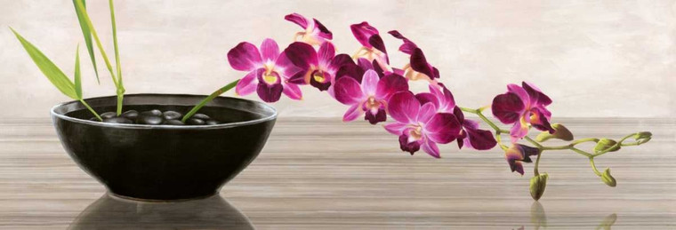 Mills Shin Orchid Arrangement Floreale cm70X208 Immagine su CARTA TELA PANNELLO CORNICE Orizzontale