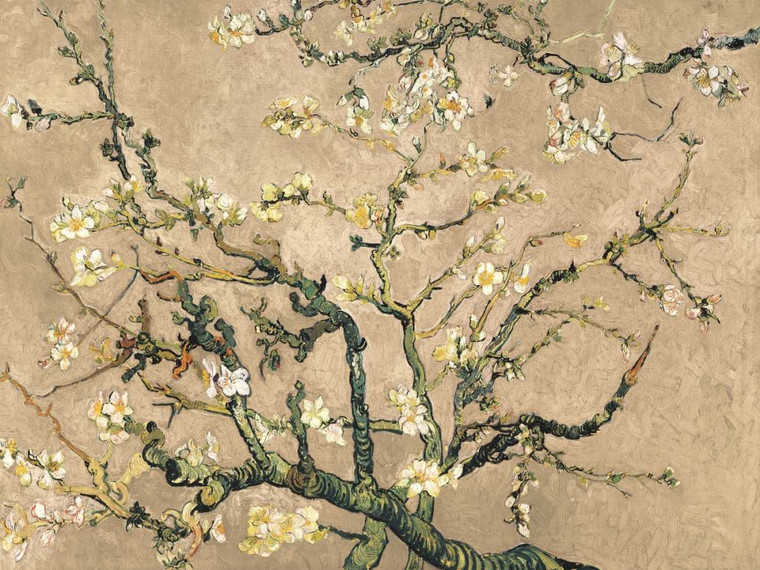 Van Gogh Vincent Mandorlo in fiore (beige variation) Floreale cm84X111 Immagine su CARTA TELA PANNELLO CORNICE Orizzontale