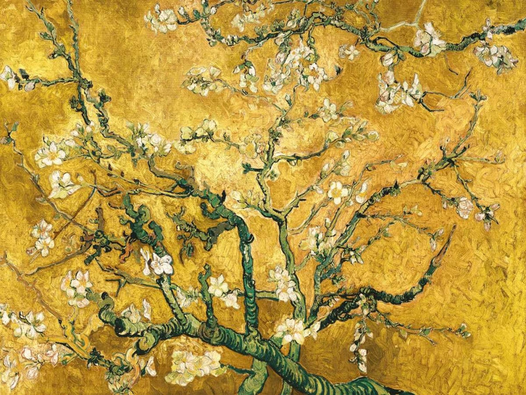 Van Gogh Vincent Mandorlo in Fiore (variazione oro) Floreale cm84X111 Immagine su CARTA TELA PANNELLO CORNICE Orizzontale