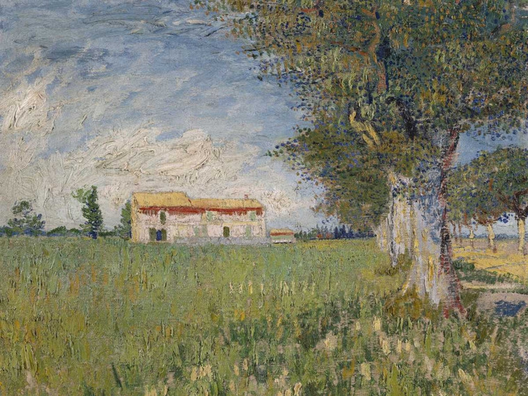 Van Gogh Vincent Casale in un campo di grano Paesaggio cm84X111 Immagine su CARTA TELA PANNELLO CORNICE Orizzontale