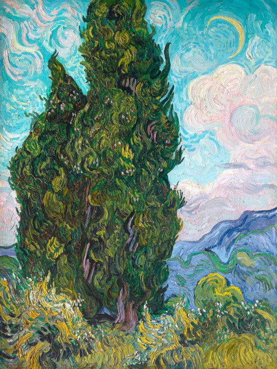 Van Gogh Vincent cipressi Paesaggio cm111X84 Immagine su CARTA TELA PANNELLO CORNICE Verticale