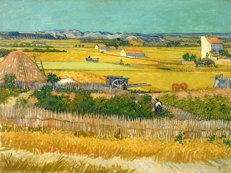 Van Gogh Vincent la raccolta Paesaggio cm84X111 Immagine su CARTA TELA PANNELLO CORNICE Orizzontale