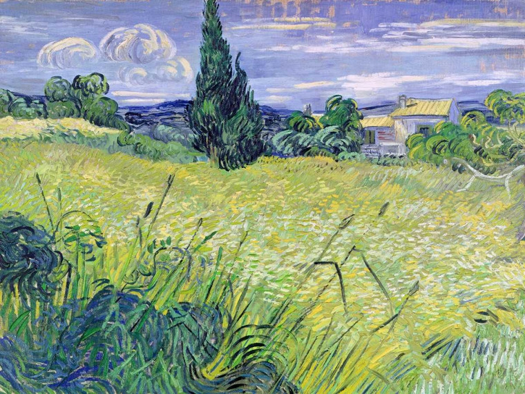 Van Gogh Vincent Paesaggio con Green Corn Paesaggio cm84X111 Immagine su CARTA TELA PANNELLO CORNICE Orizzontale