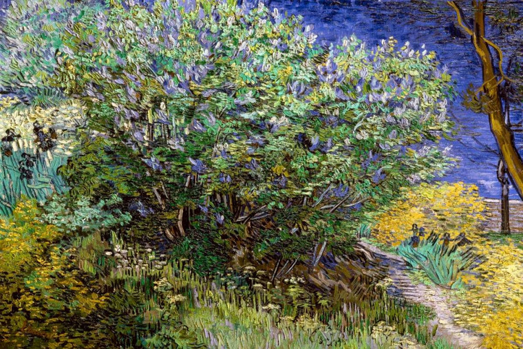 Van Gogh Vincent Il cespuglio di lillà Paesaggio cm78X118 Immagine su CARTA TELA PANNELLO CORNICE Orizzontale
