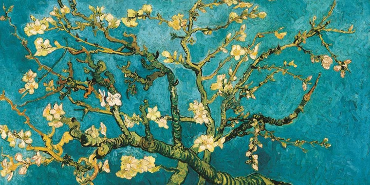 Van Gogh Vincent Mandorlo in fiore Paesaggio cm84X171 Immagine su CARTA TELA PANNELLO CORNICE Orizzontale