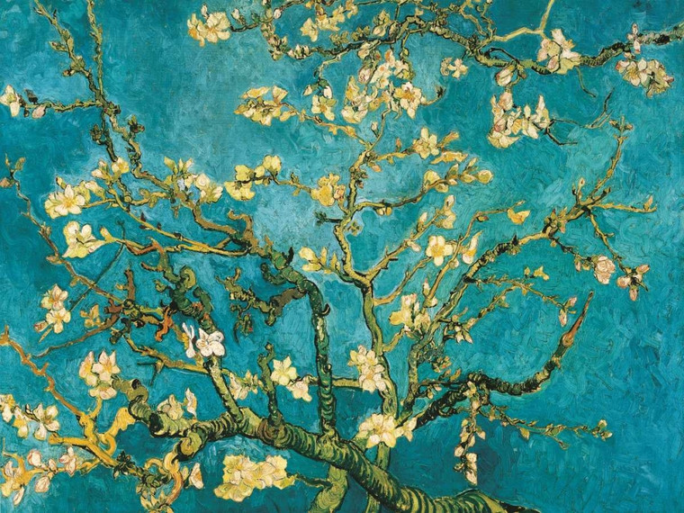 Van Gogh Vincent Mandorlo in fiore Paesaggio cm84X111 Immagine su CARTA TELA PANNELLO CORNICE Orizzontale