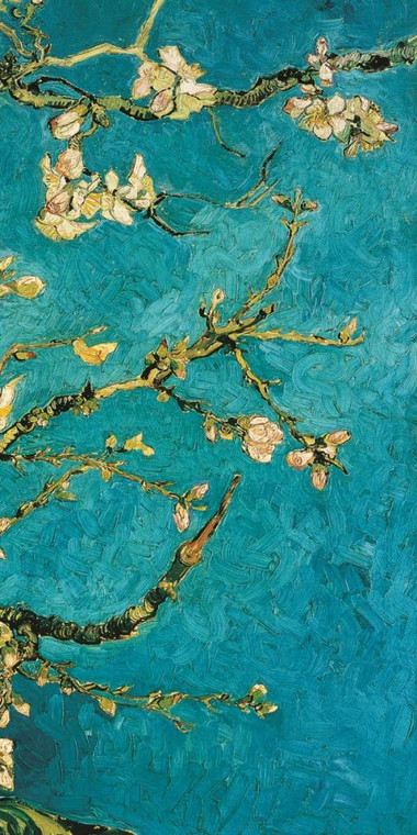 Van Gogh Vincent Mandorlo in fiore III Paesaggio cm171X84 Immagine su CARTA TELA PANNELLO CORNICE Verticale